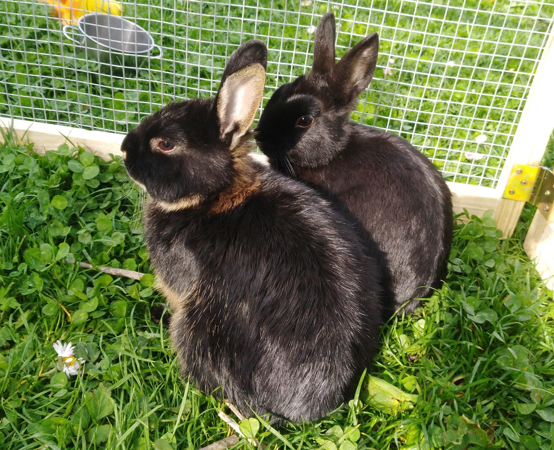 Die beiden